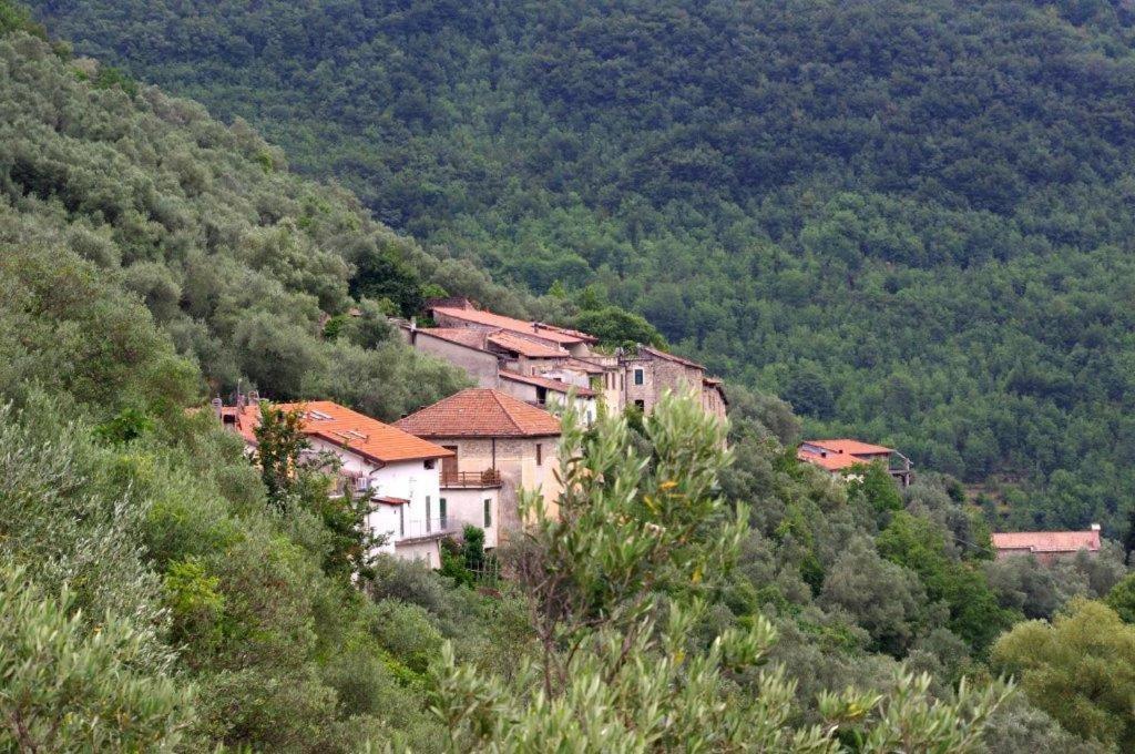 Agriturismo Nonnamelia Nasino Exteriör bild