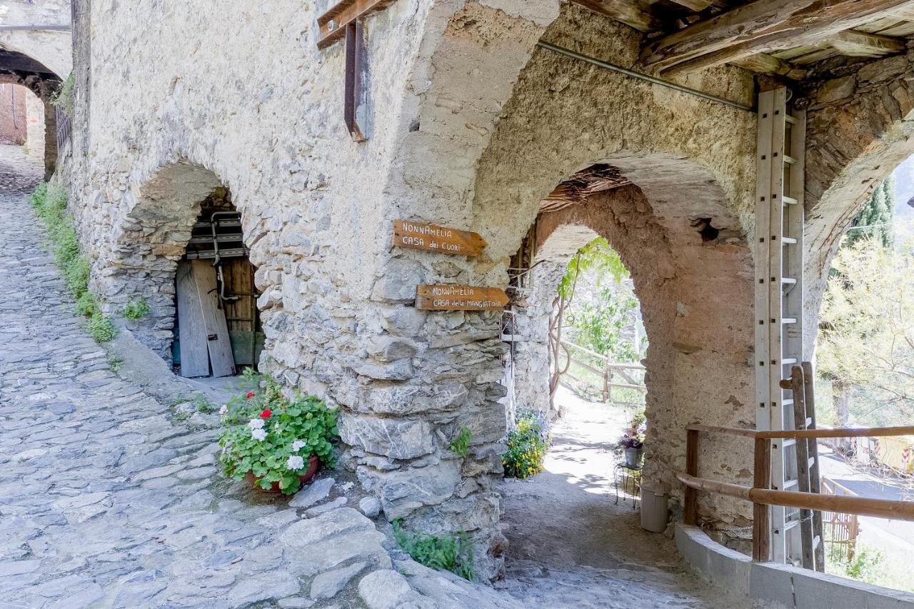 Agriturismo Nonnamelia Nasino Exteriör bild
